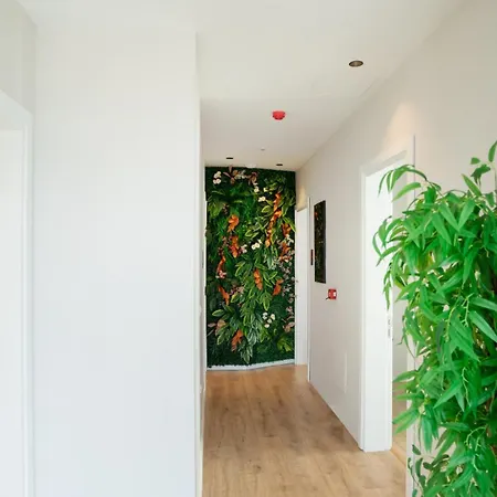 Sea Queen Luxury 3* Radhimë