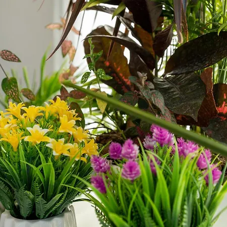 Sea Queen Luxury Otel