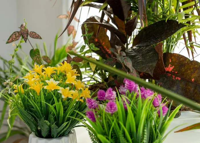 Sea Queen Luxury Hotel